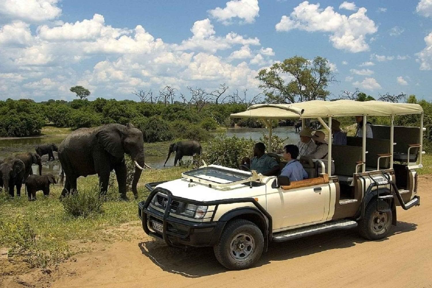 Mosi-oa-Tunya Game Drive & Rhino Walk
